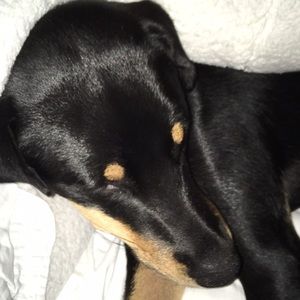 Meet your Posher, Sean